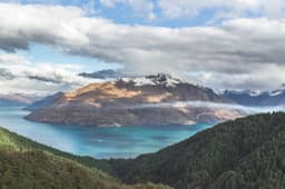 University of Auckland test profile image